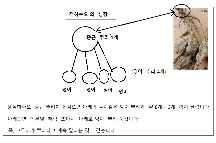 d90fdfe11d8644cb71bf5234665a9790_1475837