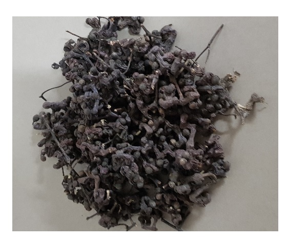 9dc77c436d974102da5b7e75ec0799b7_1610069688_9486.jpg 9dc77c436d974102da5b7e75ec0799b7_1610069