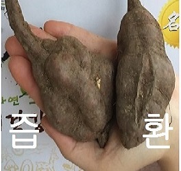 품절상품.>적하수오