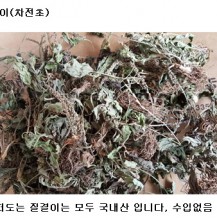 질경이300g/차전초/질경이즙/