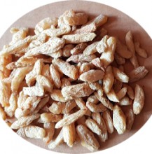 품젏>맥문동(중국산).