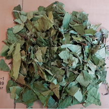 삼백초300g