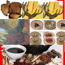 /황칠나무/녹용/녹각