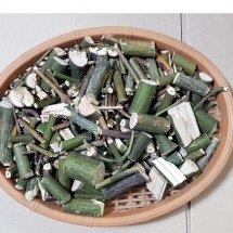 벌나무  벌나무가지