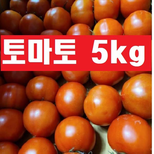 토마토5kg